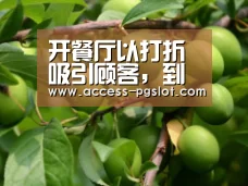 pg电子官方入口