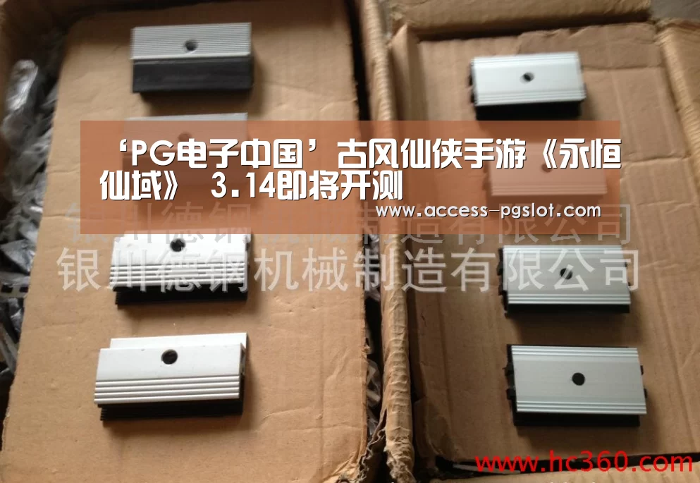 pg电子官方入口