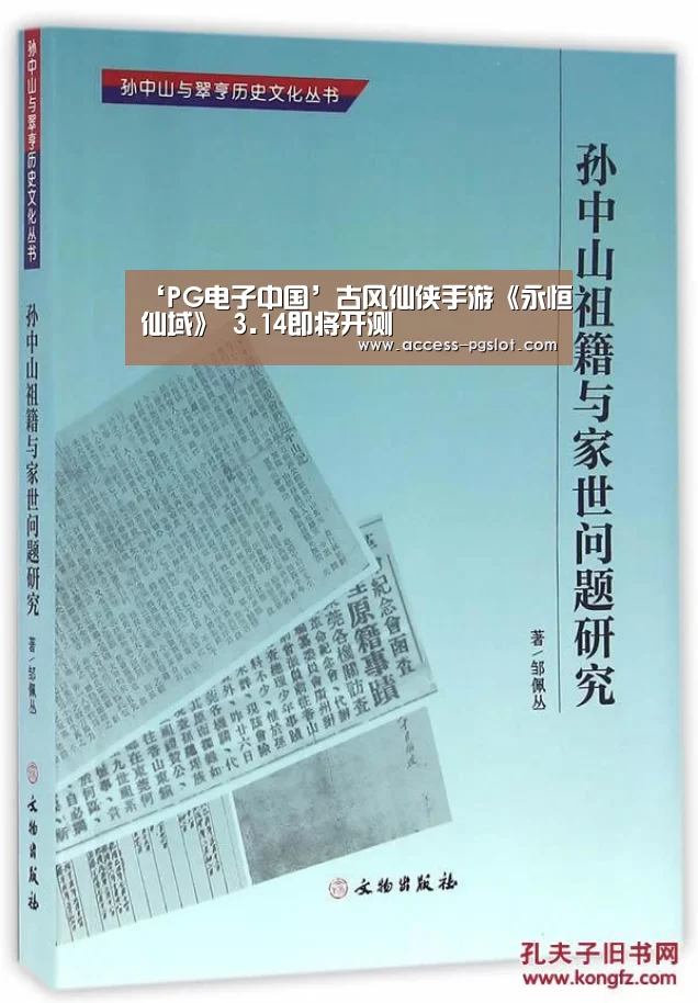 pg模拟器