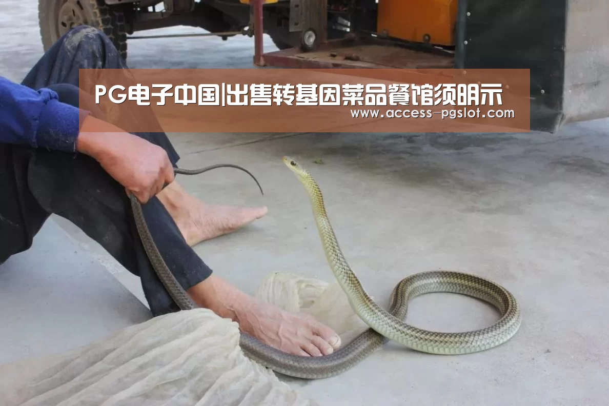PG电子中国|出售转基因菜品餐馆须明示(图1) pg模拟器