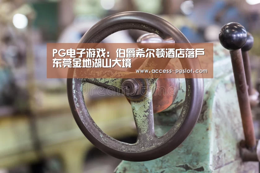 PG电子游戏:伯爵希尔顿酒店落户东莞金地湖山大境(图2) PG电子中国