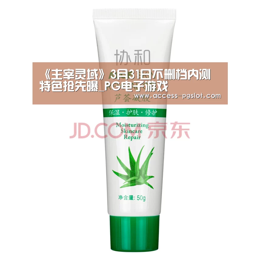 PG电子中国