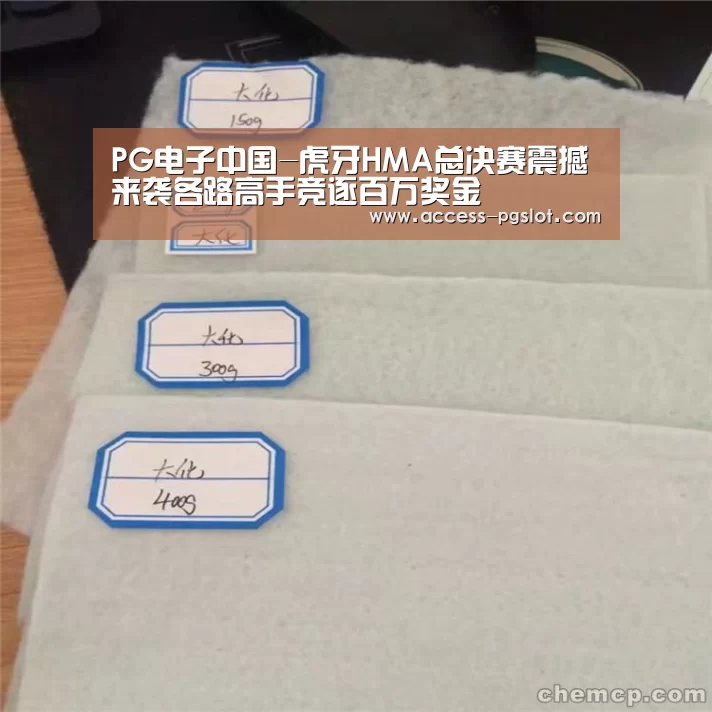 pg电子官方入口