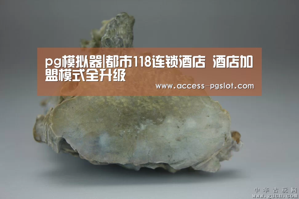 PG电子游戏