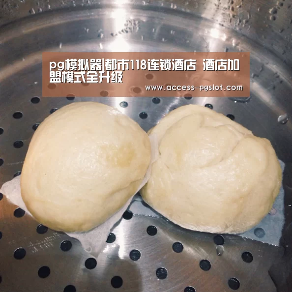 pg电子官方入口