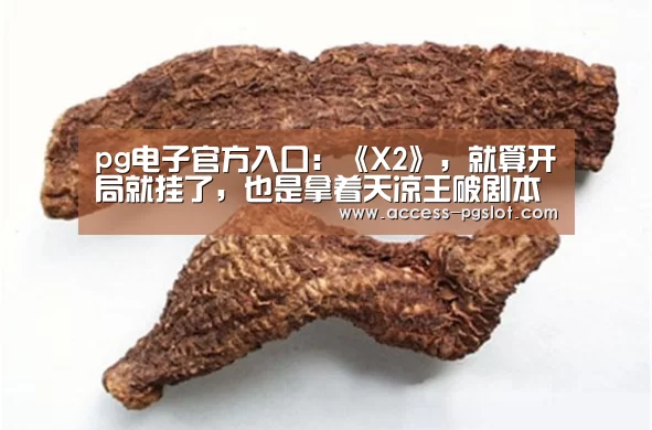 pg电子官方入口