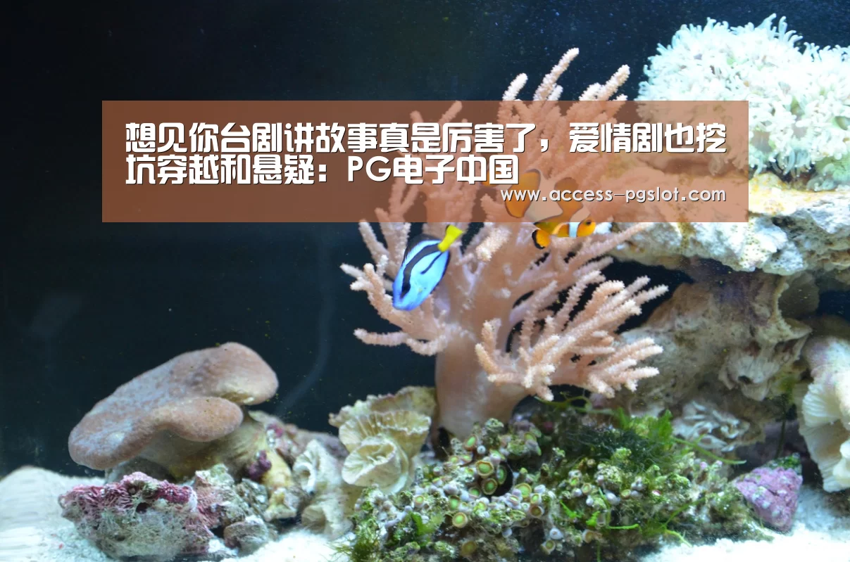 PG电子中国