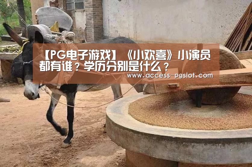 pg电子官方入口