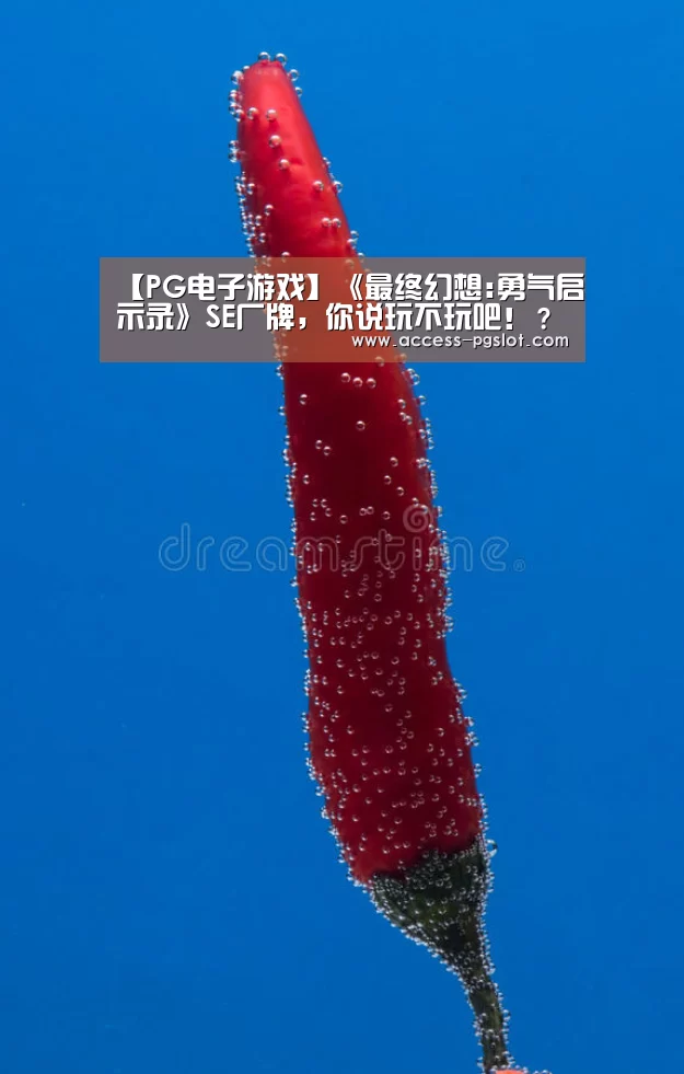 pg模拟器