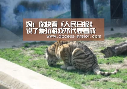 PG电子游戏