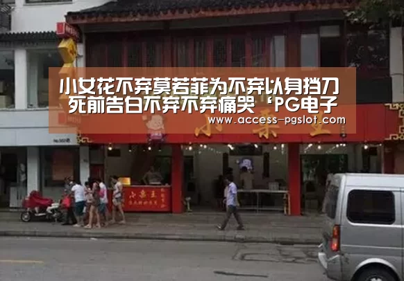 pg模拟器