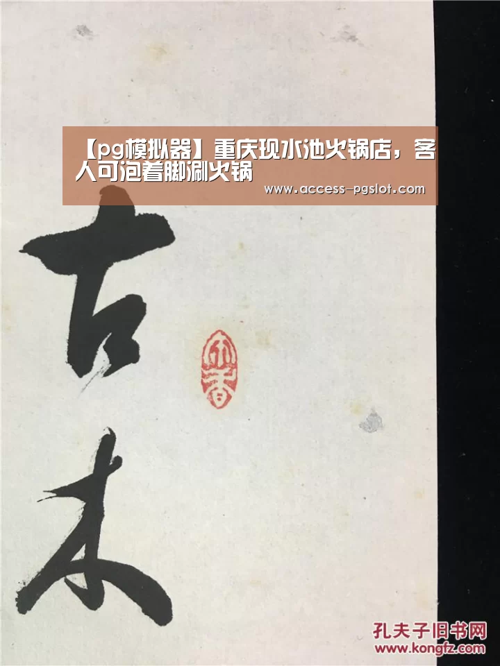 pg模拟器