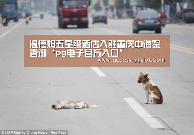 温德姆五星级酒店入驻重庆中海黎香湖‘pg电子官方入口’(图1) PG电子中国