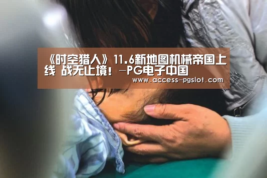 pg模拟器