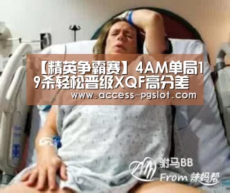pg模拟器